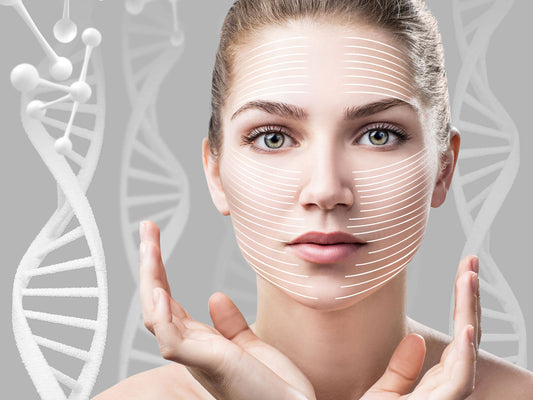 TELOTEST™: A Revolutionary Genetic Analysis