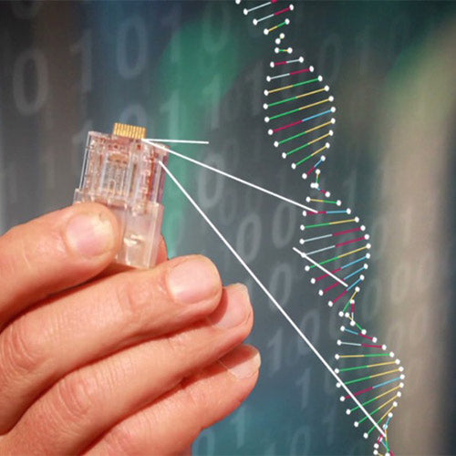 About Genetic Cosmetics.....Introduction.