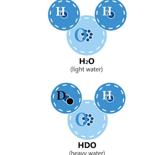 About Deuterium & Fasting