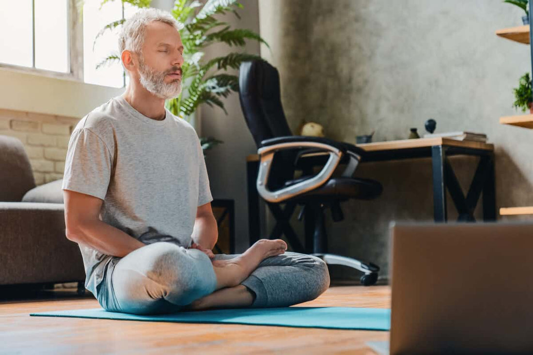 Living Synbiotic: The Comprehensive Health Benefits of SynbioCol