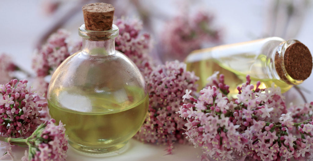 Introduction to Antiaging and Pinetonin