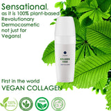 Vege Collagen | Plant-based collagen - 40 ml Vege Collagen | Plant-based collagen - 40 ml