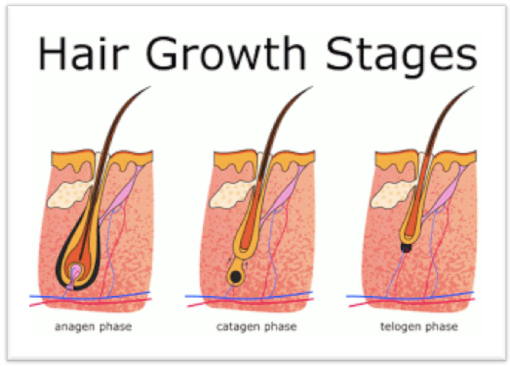 Latanoprost and Hair-Loss Treatment: A Comprehensive Guide
