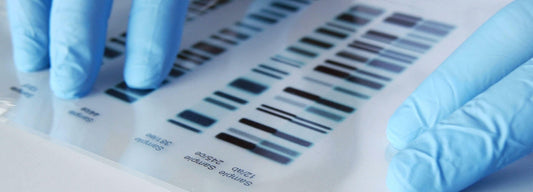 Unraveling the Mysteries of DNA Testing: A Comprehensive Guide