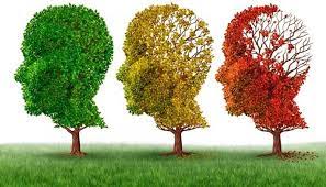 Is Alzheimer's hereditary? The influence of genetics on disease.